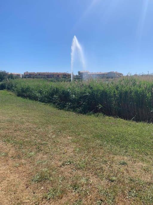 Appartement Le Florid Cap D'Agde, T2 , 4 Pers, 200M Plage, Terrasse Екстериор снимка